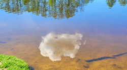Облако в озере
