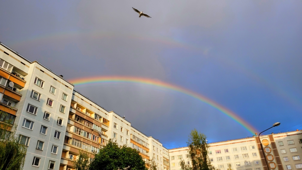 Елена Копытова. Выше радуги...