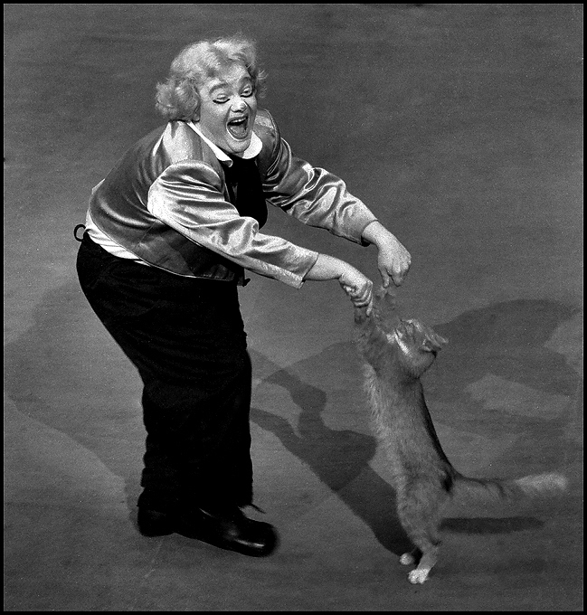 Владимир Тюрин. Кошачий вальс Владимир Тюрин. Кошачий вальс