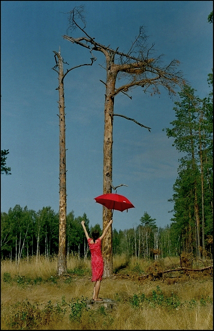 Владимир Тюрин. Прошение о дожде Владимир Тюрин. Прошение о дожде