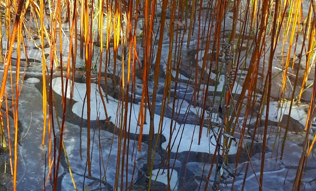 Елена Копытова. Лëд и солнце... Елена Копытова. Лëд и солнце...