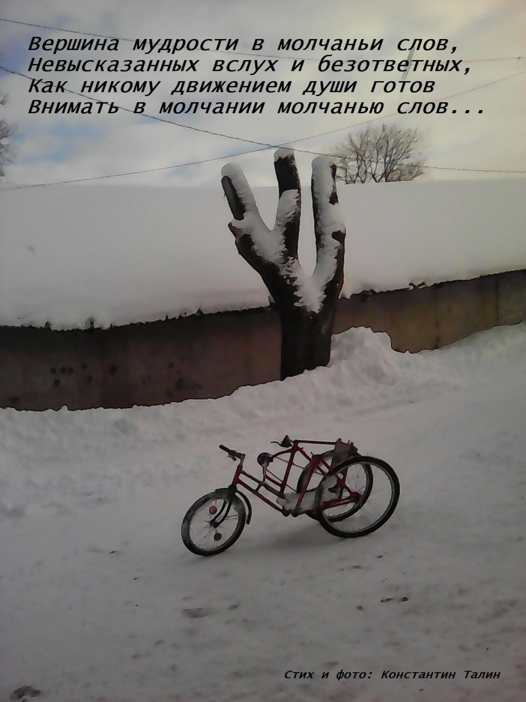 Константин Талин. Рука Константин Талин. Рука