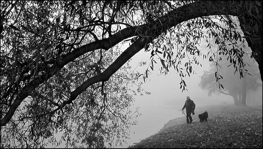 Владимир Тюрин. Верные друзья 2011 год Владимир Тюрин. Верные друзья 2011 год