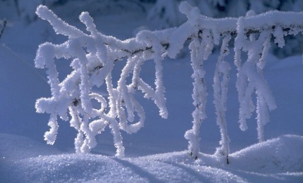 Наталья Степанова. Зима – рукодельница Наталья Степанова. Зима – рукодельница