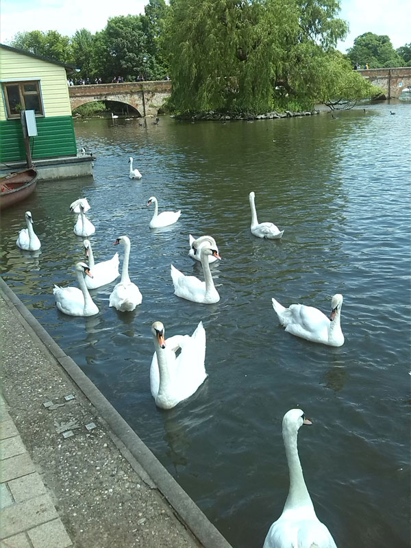 Ирина Грановская. Белые кораблики, белые кораблики... Ирина Грановская. Белые кораблики, белые кораблики...