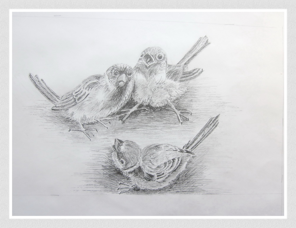 Валентина Солдатова. "Воробышки" Валентина Солдатова. "Воробышки"