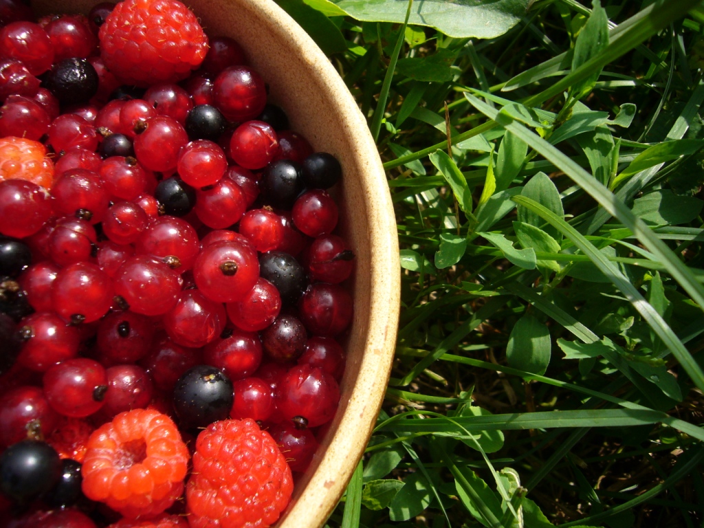 Анастасия Лашкевич. Лето Анастасия Лашкевич. Лето