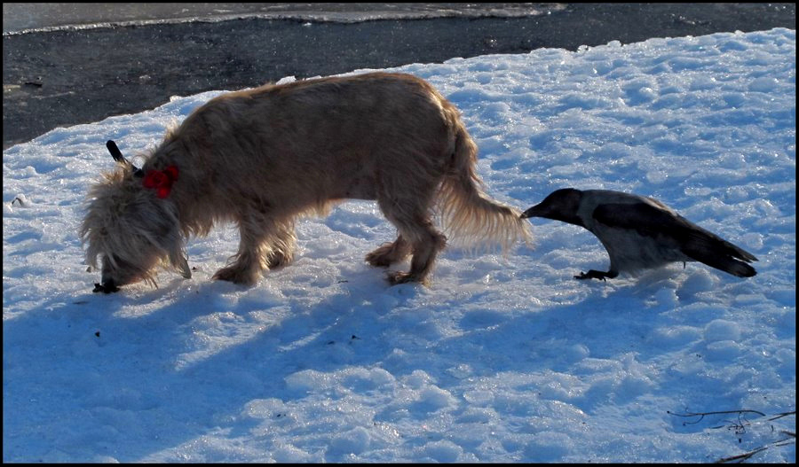 Владимир Тюрин. "Поиграем?" Владимир Тюрин. "Поиграем?"