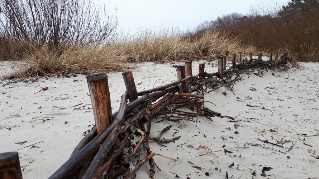 Елена Копытова. Юрмальский берег Елена Копытова. Юрмальский берег