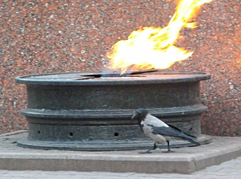 Алёна Асенчик. ворона и вечный огонь Алёна Асенчик. ворона и вечный огонь