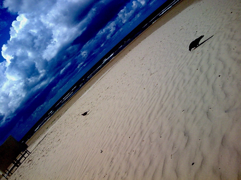 Павел Гуданец. Пляж Павел Гуданец. Пляж