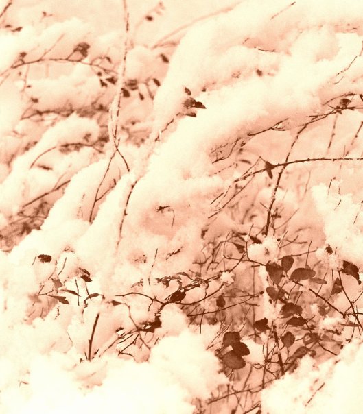 Ирина Вахитова. Немного пушистого снега Ирина Вахитова. Немного пушистого снега