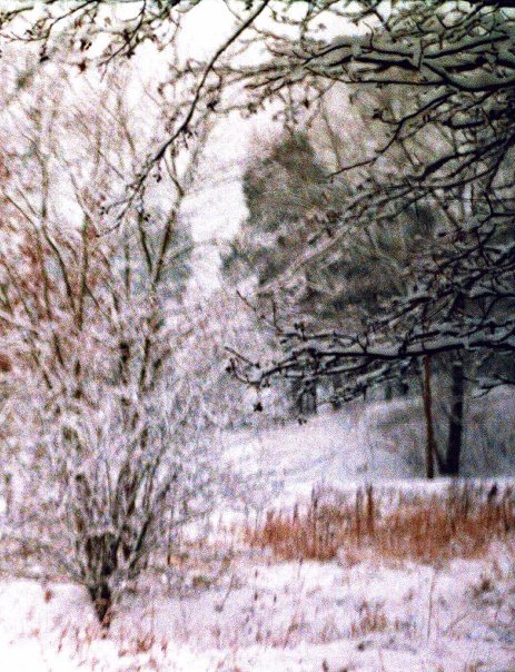 Ирина Вахитова. Фото-акварель Ирина Вахитова. Фото-акварель