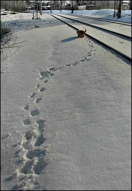 Владимир Тюрин. В поисках счастья Владимир Тюрин. В поисках счастья