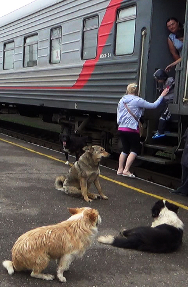 Елена Копытова. Из дорожного альбома... Елена Копытова. Из дорожного альбома...