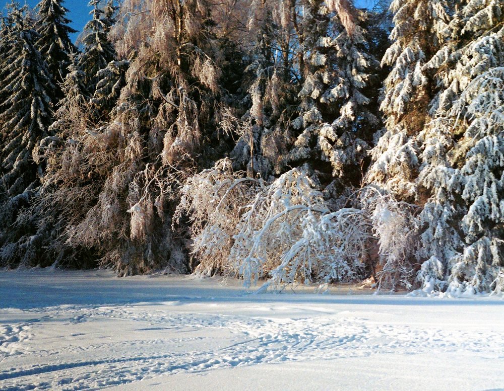 Ирина Вахитова. "Чародейкою-зимою..." Ирина Вахитова. "Чародейкою-зимою..."