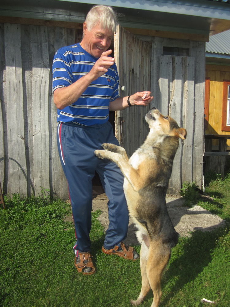 Валентина Солдатова. Бим Валентина Солдатова. Бим