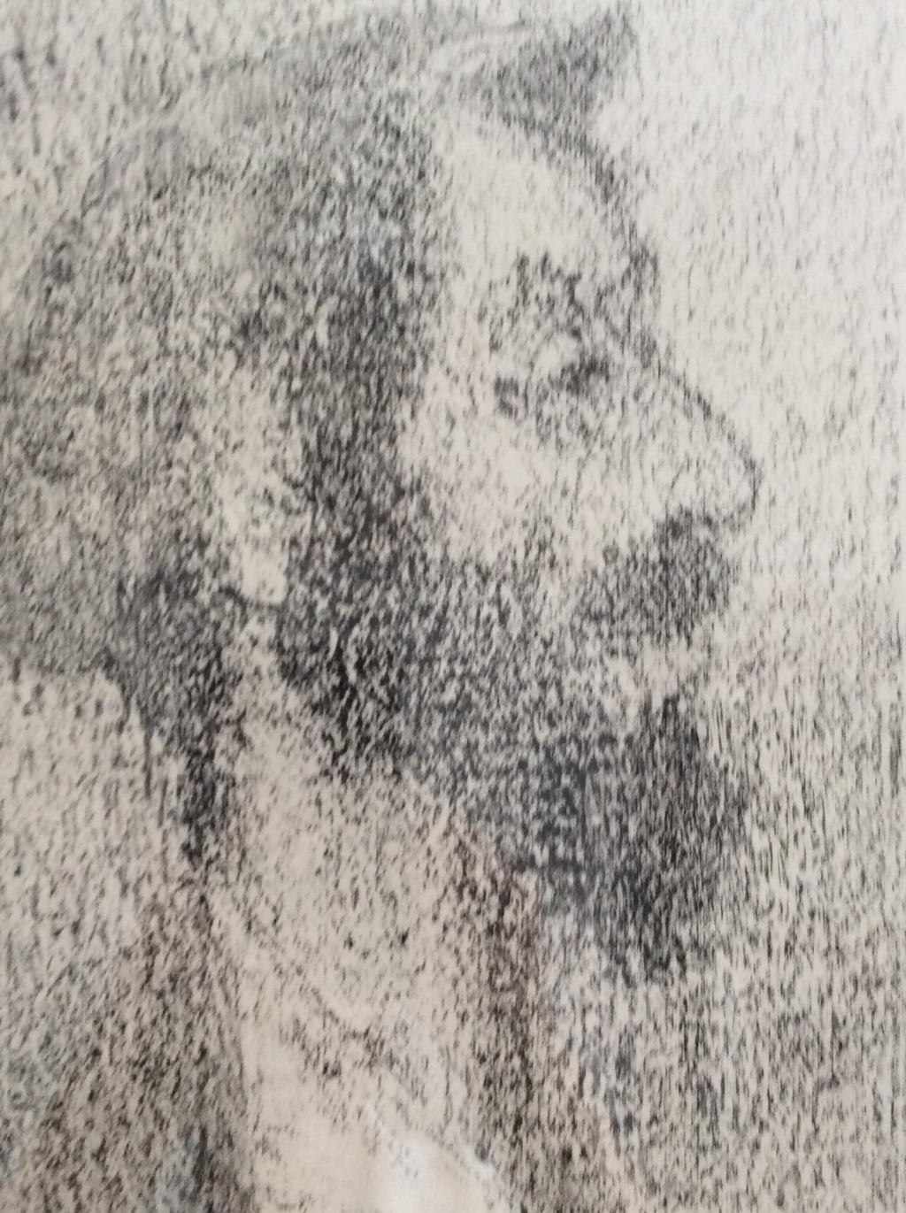 Артур Шоппингауэр. Человек воздуха Артур Шоппингауэр. Человек воздуха