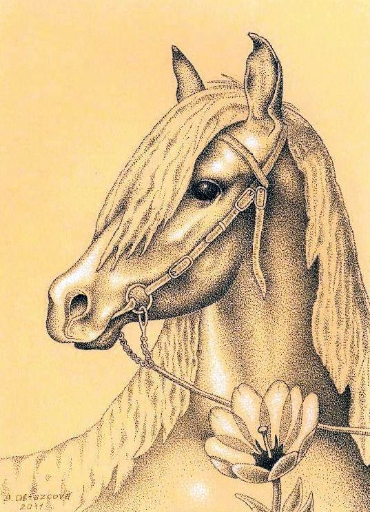 Елена Образцова. Дар Елена Образцова. Дар