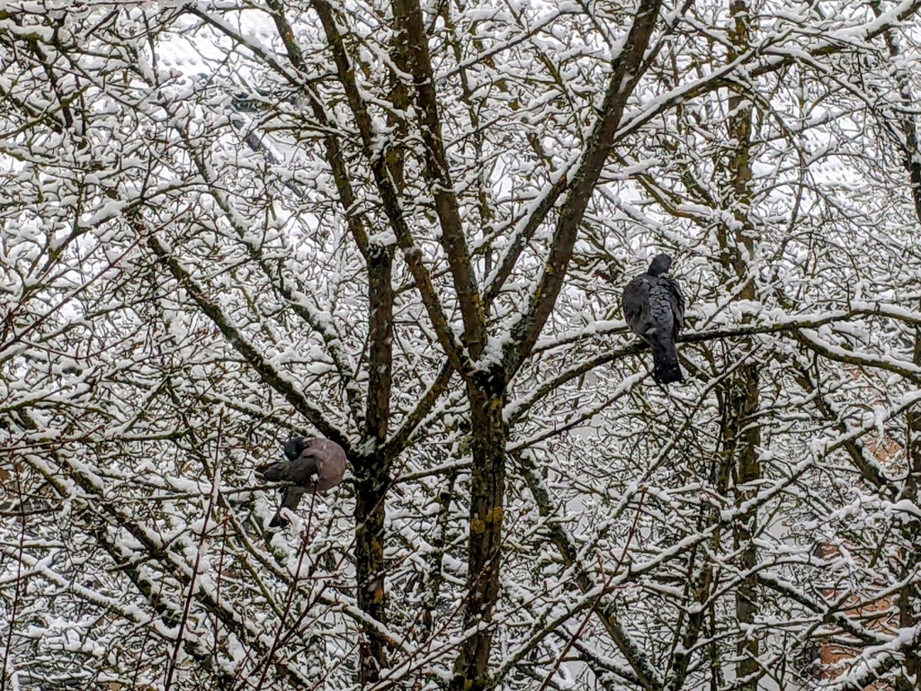Михаил Эндин. Первый снег Михаил Эндин. Первый снег