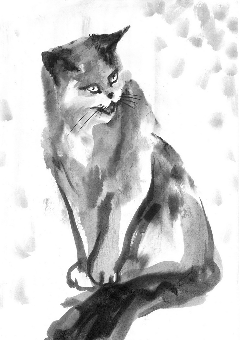 Людмила Самойлова. Активный кот Людмила Самойлова. Активный кот