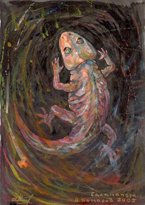 Алексей Комаров. саламандра Алексей Комаров. саламандра