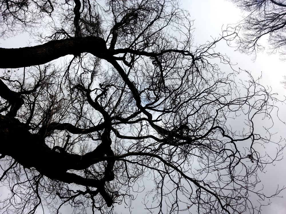 Павел Гуданец. * * * Павел Гуданец. * * *