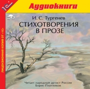 Звукозаписывающий проект "Частная коллекция Елены Резниковой"