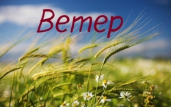 Ветер, ты гуляка... поёт Эльза Комарова Ветер, ты гуляка... поёт Эльза Комарова