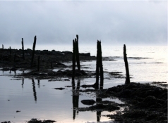 Стихотворение Наталии Крофтс "Я уже не пойду за тобой..." Стихотворение Наталии Крофтс "Я уже не пойду за тобой..."